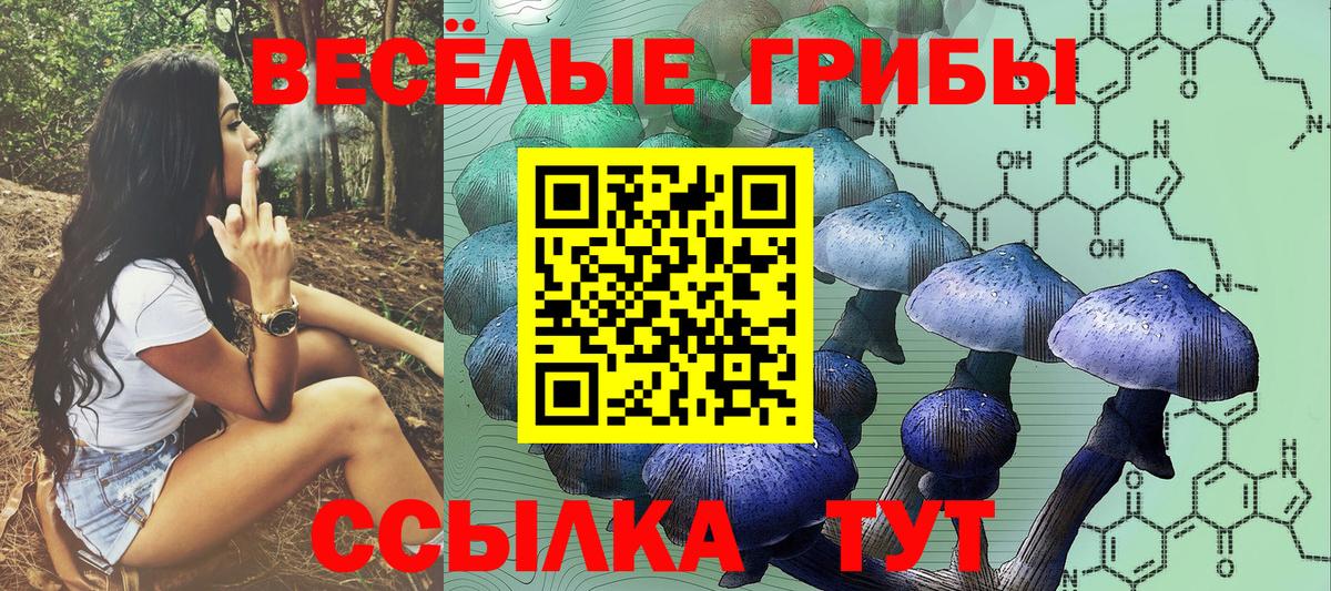 Галлюциногенные грибы MAGIC MUSHROOMS  Вход с VPN  Тверь 