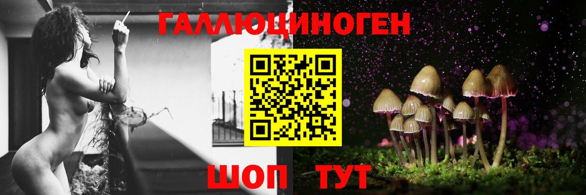 Псилоцибиновые грибы мухоморы Тверь
